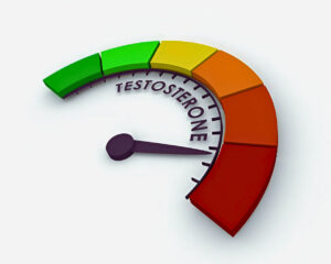 Zinc increases testosterone.