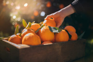 See the amazing benefits of an orange!