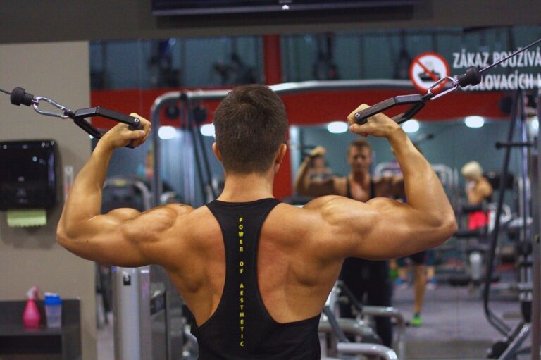 Stronger Spine, Better Life: Back Exercises That Heal